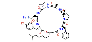 Kahalalide Y